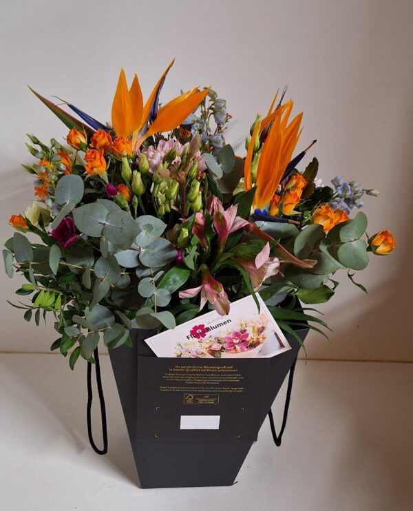 Online Versandtüte Webshop Online Versandtüte Webshop