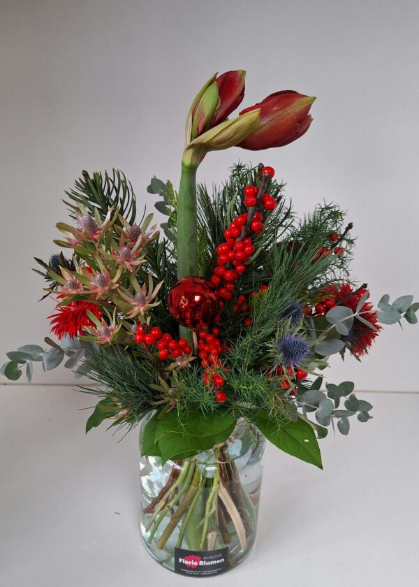 Amaryllisstrauß, weihnachtliche Atmosphäre, lange gebunden Amaryllisstrauß Weihnachtliche Atmospäre