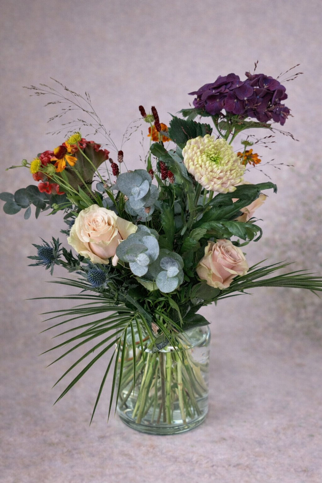 amsterdammertje 2 website