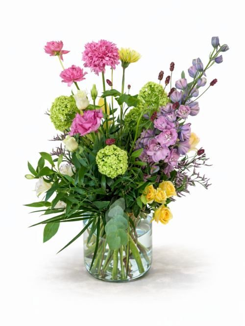 Amsterdammertje (Wiesenstrauß) – Floria Blumen Mönchengladbach