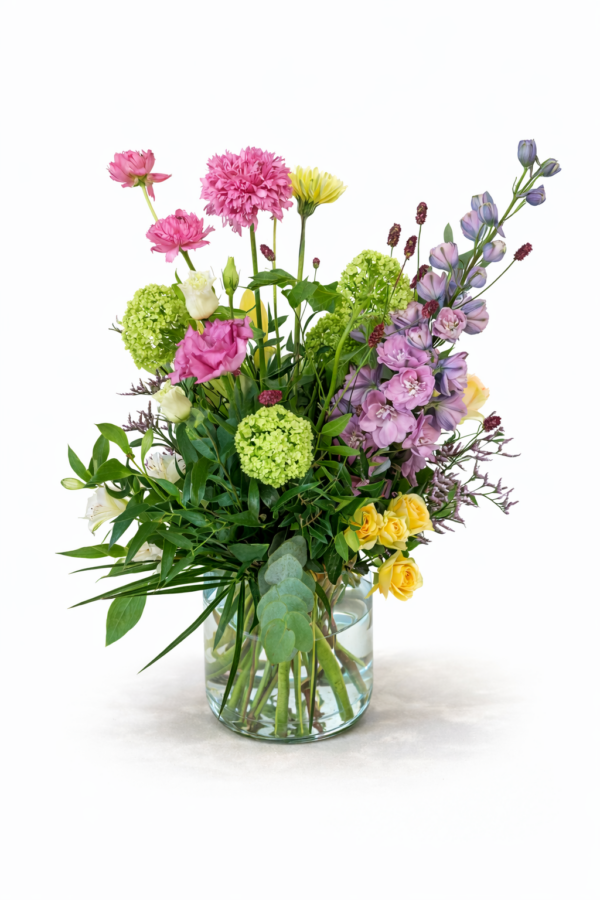 Amsterdammertje (Wiesenstrauß) – Floria Blumen Mönchengladbach