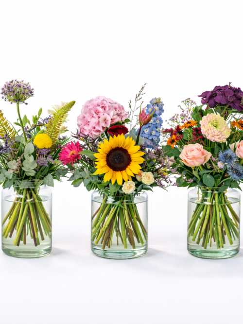 Amsterdammertje (Wiesenstrauß) – Floria Blumen Mönchengladbach