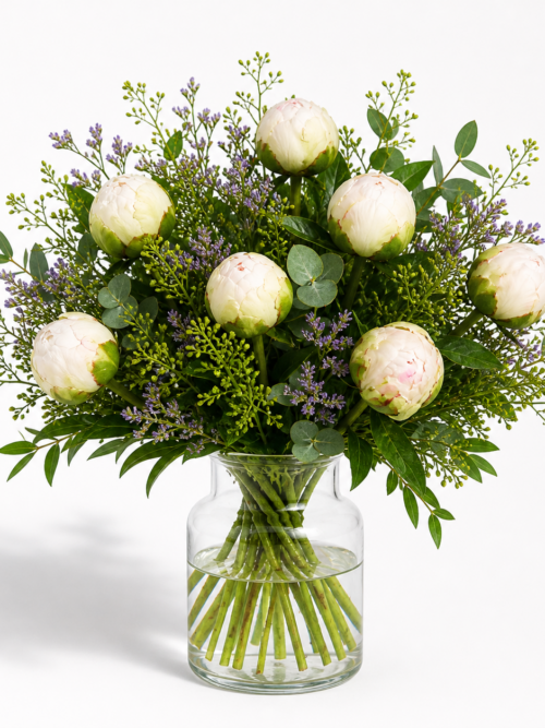 Pfingstrosen weiß Strauß kaufen – frisch gebunden | Floria Blumen Mönchengladbach – Floria Blumen Mönchengladbach